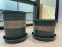 สีเขียว ถาดกระถาง ทรงเตี้ย 20# (500ใบ)