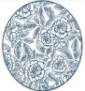 8寸印花饭盘YD62(F)