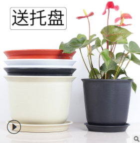 กระถาง+จานรอง ทรงจีน 15ซม. (ดำ) (80ชุด)