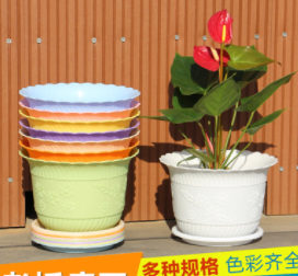 กระถาง+จานรอง ทรงปากแตร 19.5ซม. (เบจ) (150ชุด)