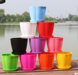 南瓜型竖纹中号玫红色+盆托13cm