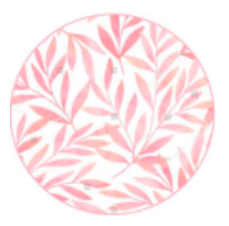 印花6寸直口碗Y162(F) （48）