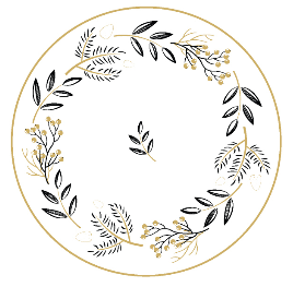 Y192(F) 印花8寸饭盘