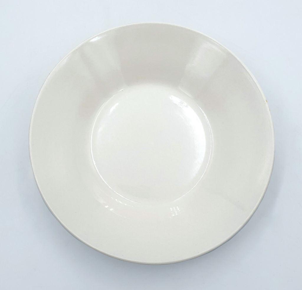 9寸白汤盘